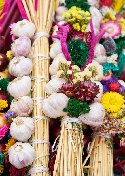 Garlics кольорового фону
 - Фото, зображення