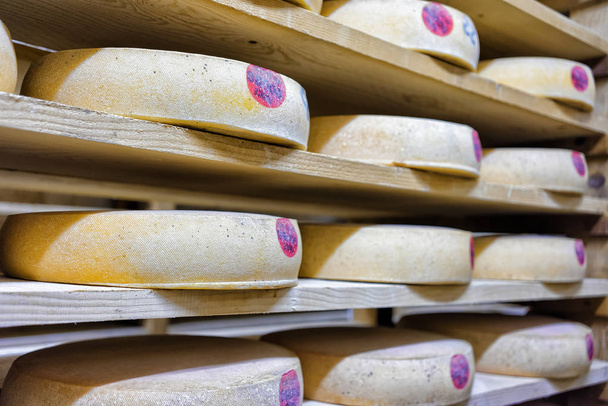 Pile of aging Cheese in ripening cellar Franche Comte dairy - Photo, Image