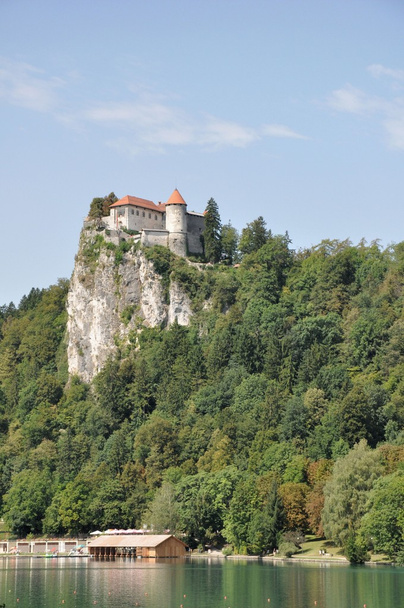 Bledi vár a sziklán, Szlovénia - Fotó, kép