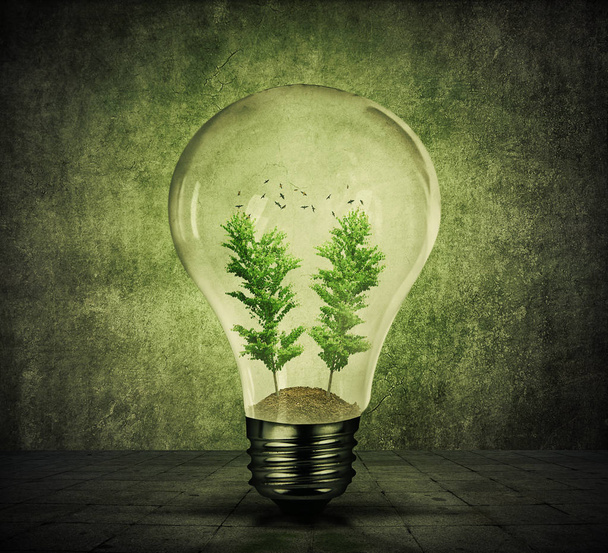 Groene Eco-lamp  - Foto, afbeelding