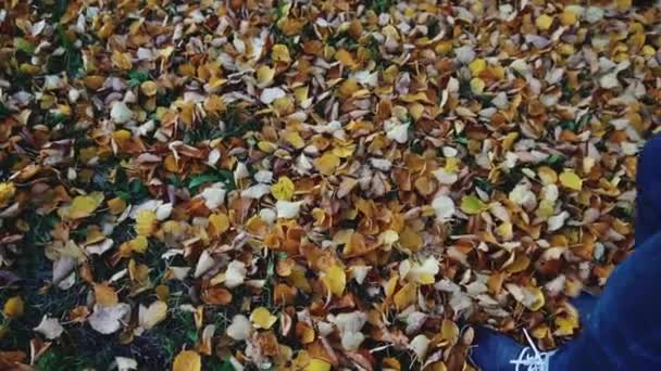Mies jalat farkut saappaat kävely syksyllä lehdet puistossa hidastettuna
 - Materiaali, video