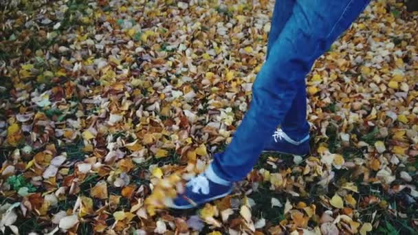 Männerbeine in Jeansstiefeln, die auf den Herbstblättern im Park in Zeitlupe laufen - Filmmaterial, Video