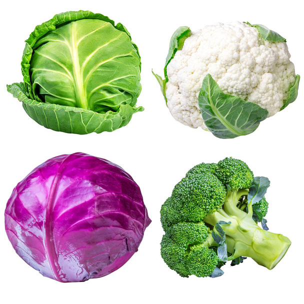 collection cabbages isolated on a white  - Photo, Image