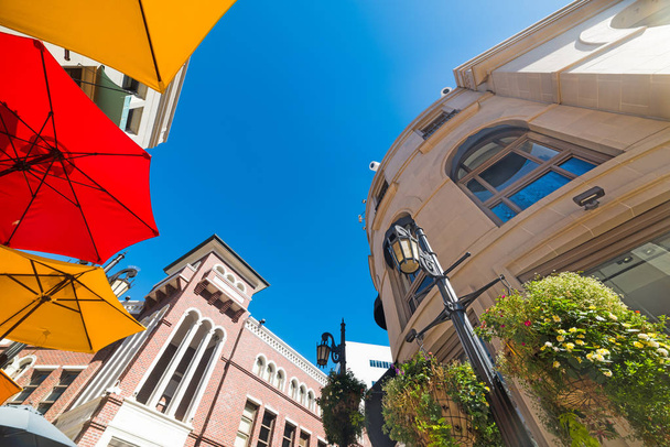 colorful parasols in Rodeo drive - Photo, Image