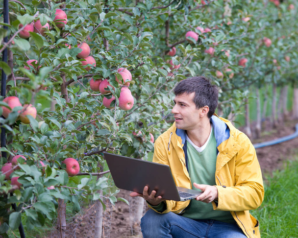 Engineer in orchard - Photo, image