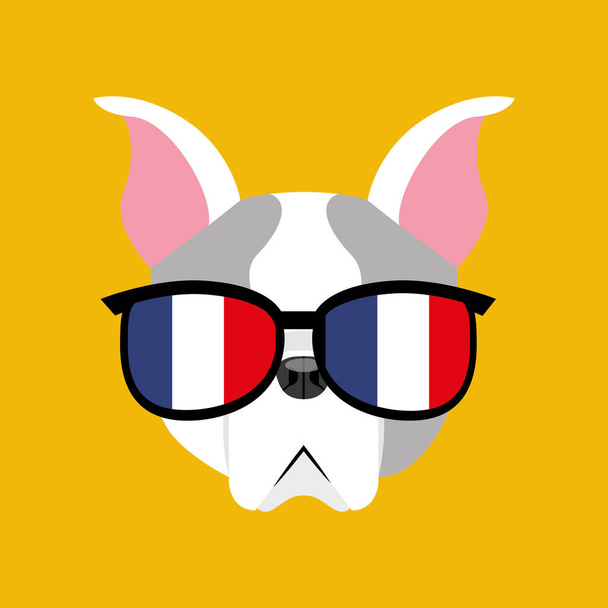 lindo perro mascota con bandera francia gafas corazón fondo
 - Vector, imagen