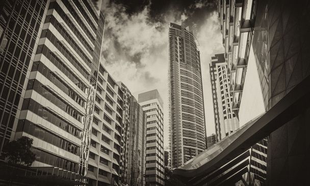 Rascacielos modernos de Sydney
 - Foto, Imagen
