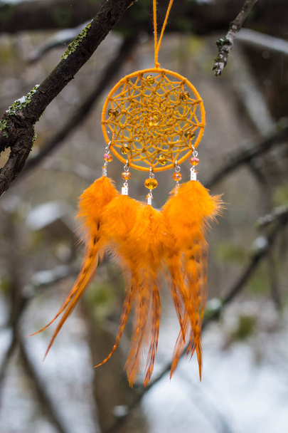 Dreamcatcher made of feathers, leather, beads, and ropes - Photo, Image