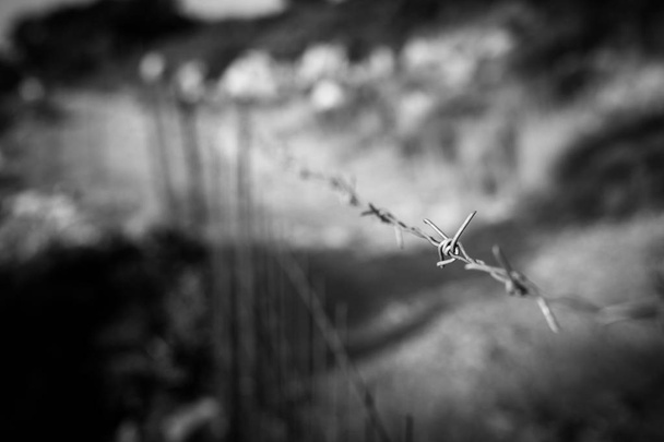 Rusty barbed wire isolated with shallow depth of field - Photo, Image