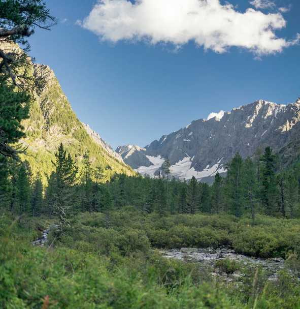 Mountain river in the Altai, Russia - Foto, afbeelding