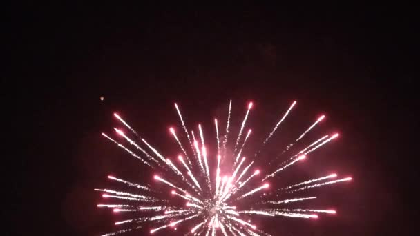 Новогодний фейерверк на ночном небе - Кадры, видео