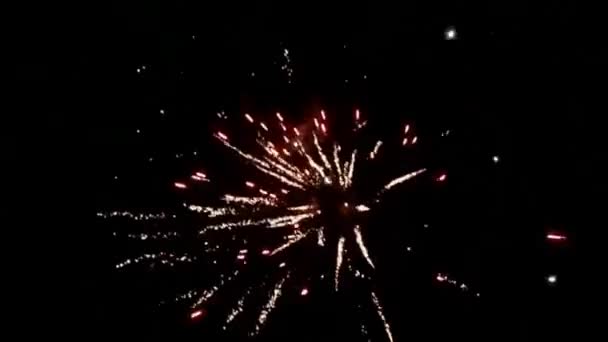 Nouvel an feux d'artifice sur le ciel nocturne - Séquence, vidéo