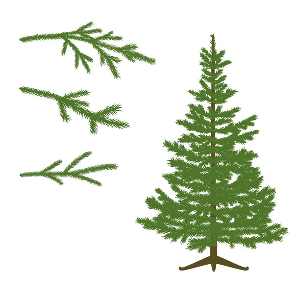 Fir-tree and branch - Vector, Image
