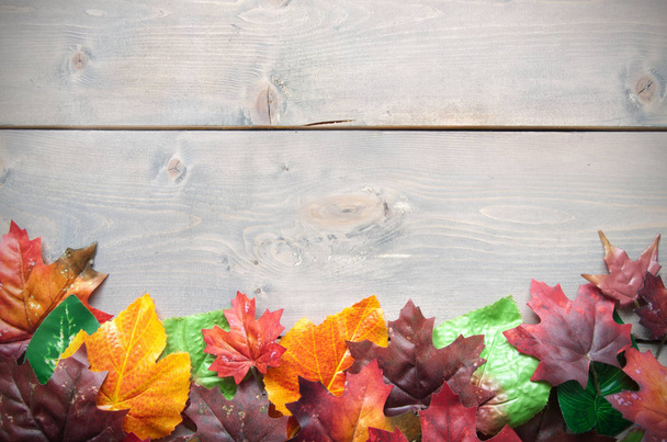 autunno foglie sfondo - Foto, immagini