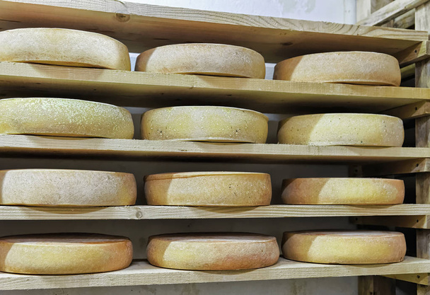 Τροχοί της γήρανσης τυρί στην ωρίμανση κελάρι γαλακτοκομικά Franche Comte - Φωτογραφία, εικόνα