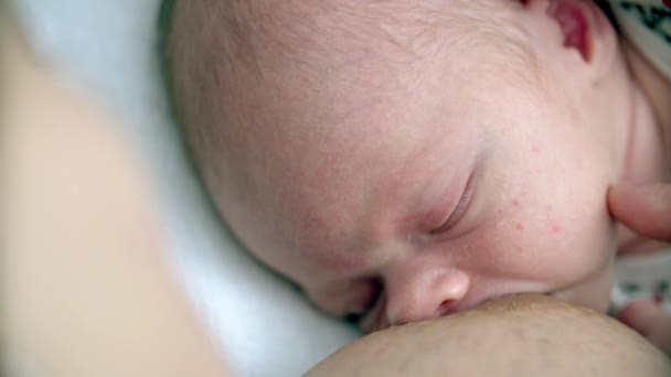 мать кормит грудью новорожденного ребенка - Кадры, видео