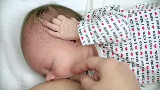 madre amamantando a su bebé recién nacido - Imágenes, Vídeo