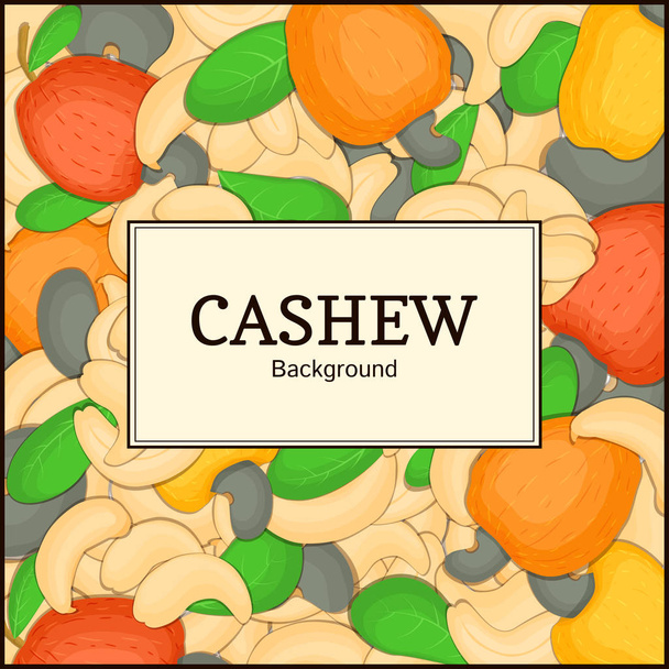 The rectangular frame on cashew nut background. Vector card illustration. Nuts ,  fruit in the shell, whole, shelled, leaves, appetizing looking for packaging design of healthy food - Вектор,изображение