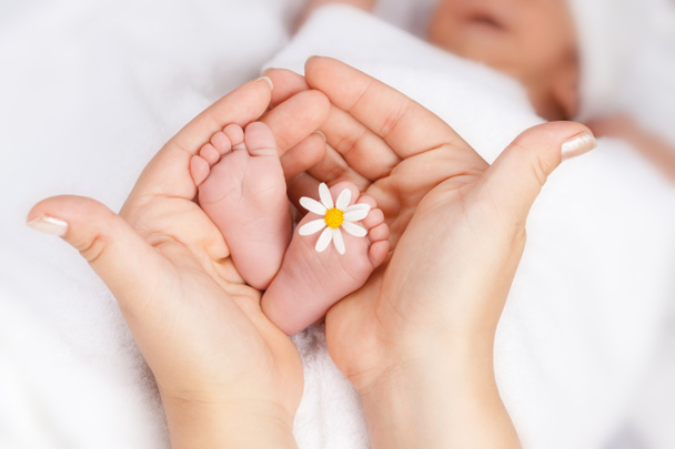 piękne stopy niemowląt z mała biała Margerytka - Zdjęcie, obraz
