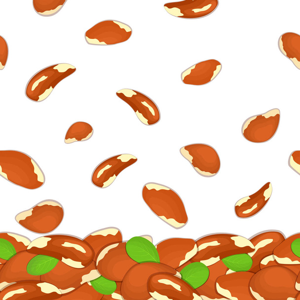 Vectorillustratie van dalende brazilnut noten. Achtergrond een Braziliaanse moer. Patroon walnut fruit in de shell, geheel, ook zonder dop, bladeren smakelijk zoekt verpakking ontwerp gezonde voeding - Vector, afbeelding