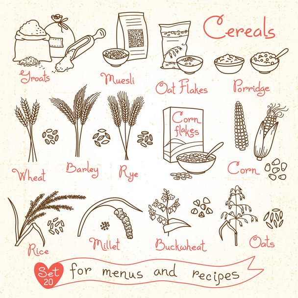Çizimler tahıl tasarım menü, yemek tarifleri ve ambalaj için ayarlayın. Pul, kabuğu çıkarılmış tane, yulaf lapası, müsli, Mısır gevreği, yulaf, çavdar, buğday, arpa, darı, buğday, pirinç, Mısır - Vektör, Görsel