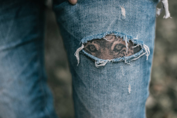 dívka v džínách s tetováním  - Fotografie, Obrázek