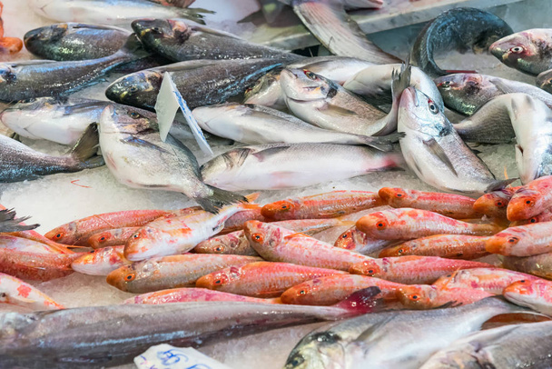 frischer fisch auf dem vucciria markt in palermo - Foto, Bild