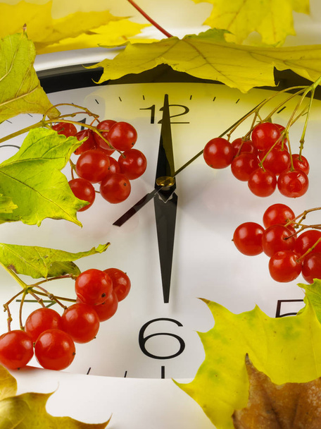 6 Uhr. Das Gesicht der Uhr mit gelben Blättern und rotem, reifem Viburnum. Herbstzeit. - Foto, Bild