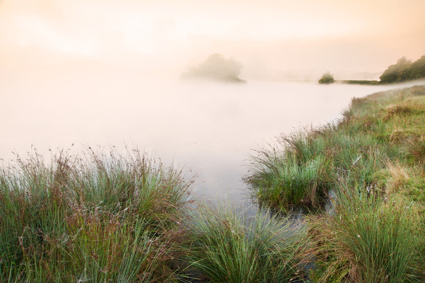 Beau paysage d'automne d'automne sur le lac brumeux brumeux brouillard avec lueur
 - Photo, image