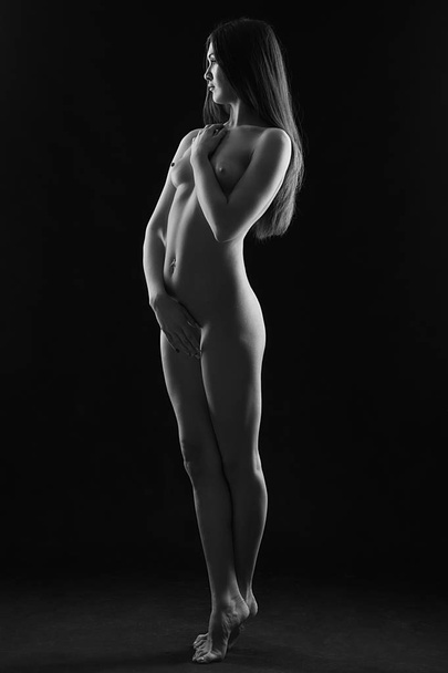 Muhteşem çıplak kadın siluet - Fotoğraf, Görsel