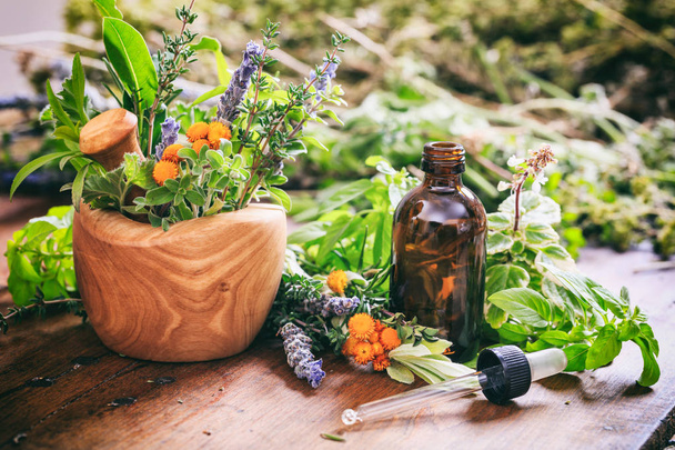 Variety of herbs and mortar on wooden background - Foto, immagini