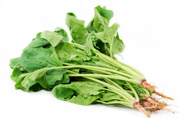 Зелені овочі і темно-листяна їжа
 - Фото, зображення