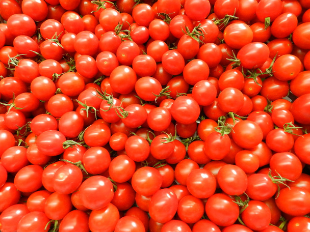 маленькі червоні помідори
 - Фото, зображення