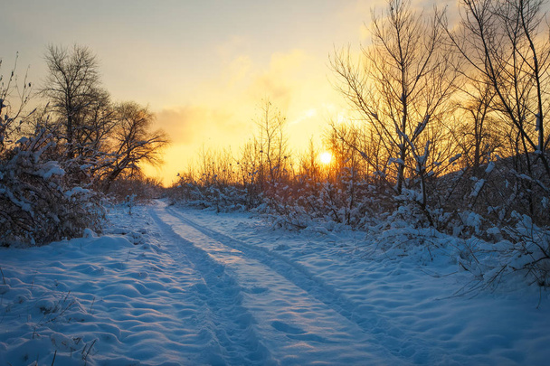 Hermoso paisaje invernal con amanecer cielo, carretera y árboles en la nieve
 - Foto, imagen