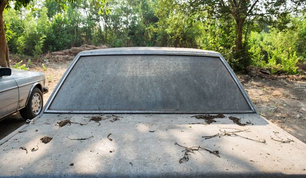 Назад автомобіль брудна пляма в парку
 - Фото, зображення