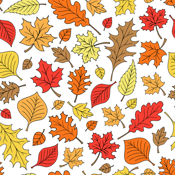 Follaje de otoño Hoja de otoño Doodles Vector de patrón de repetición sin costuras
 - Vector, imagen