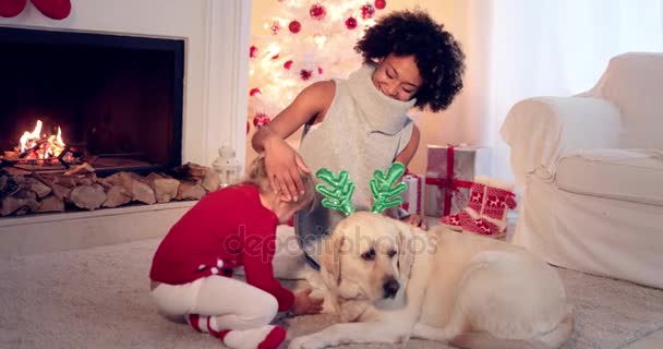 Mamá y su hija en suéteres juegan con perro mascota
 - Imágenes, Vídeo