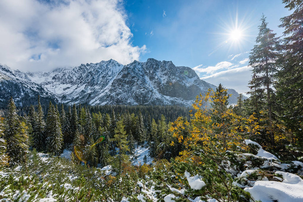 Karpaattien vuoret talvella lunta
 - Valokuva, kuva
