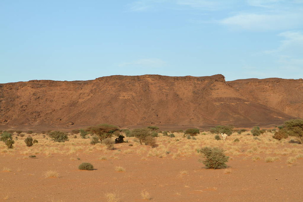 Η έρημος Σαχάρα στο Σουδάν της Αφρικής - Φωτογραφία, εικόνα