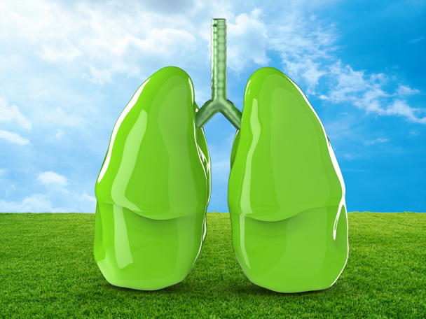 green lungs or healthy lungs - Φωτογραφία, εικόνα