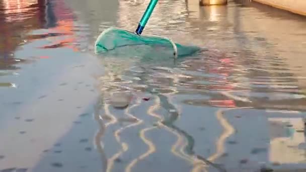 veegmachine reinigt het zwembad - Video