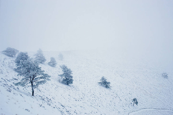 Snow moutain landscape during winter - Photo, Image
