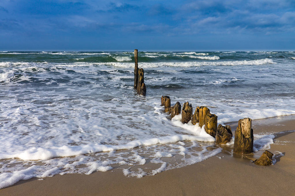 Groynes on shore of the Baltic Sea on a stormy day - Photo, Image