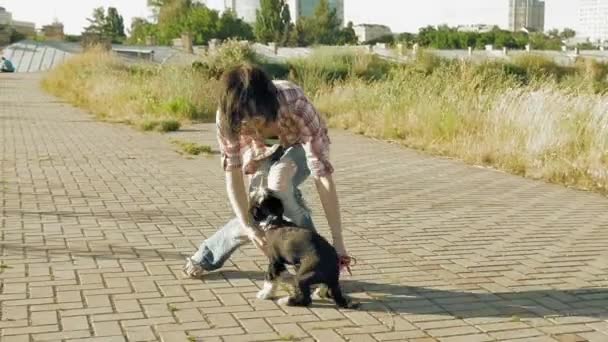 Aranyos kis kutya szabadban játszó fiatal nő - Felvétel, videó