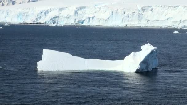 Ακτές της Ανταρκτικής - υπερθέρμανση του πλανήτη - σχηματισμούς πάγου - Πλάνα, βίντεο