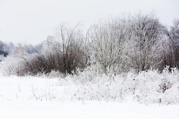 Winter landscape, Russia - Foto, Imagem