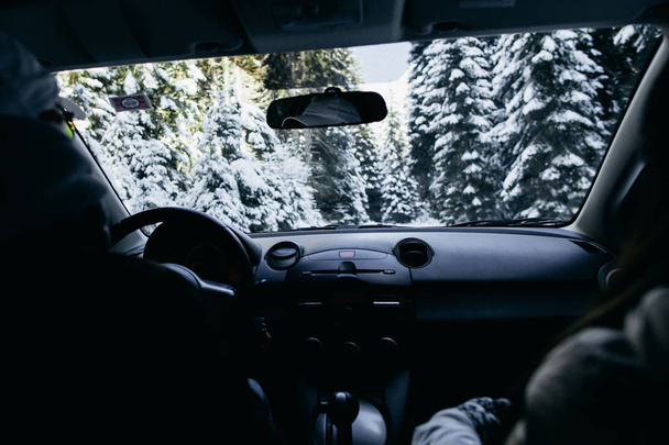 Voyage en voiture dans la forêt d'hiver
 - Photo, image