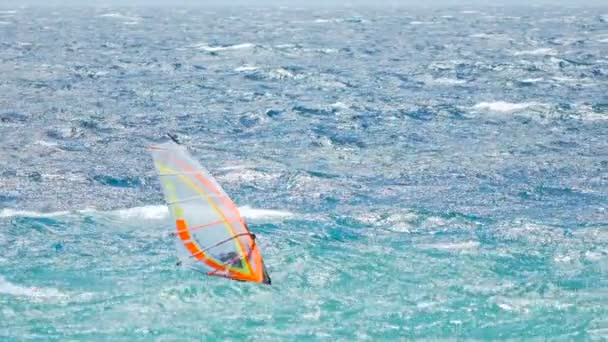 Windsurf-Champion Segeln auf den Wellen des blauen Ozeans, Sommerurlaub und Sport - Filmmaterial, Video