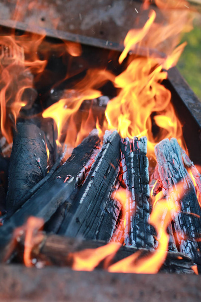 石炭と火の炎 - 写真・画像