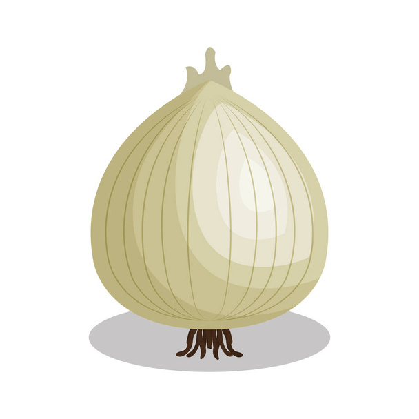 cebolla fresca icono aislado vegetal
 - Vector, imagen